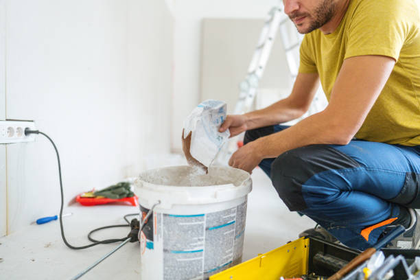 Professional Mold Removal in Port Isabel, TX